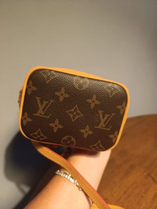 Borsa Louis Vuitton piccola