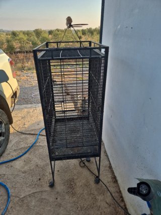 Jaula grande para pájaros 1.70m