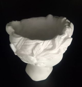 Maceta Cabeza Blanca