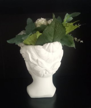 Maceta Cabeza Blanca