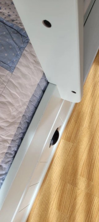 Literas de madera blanca con cajón de almacenaje