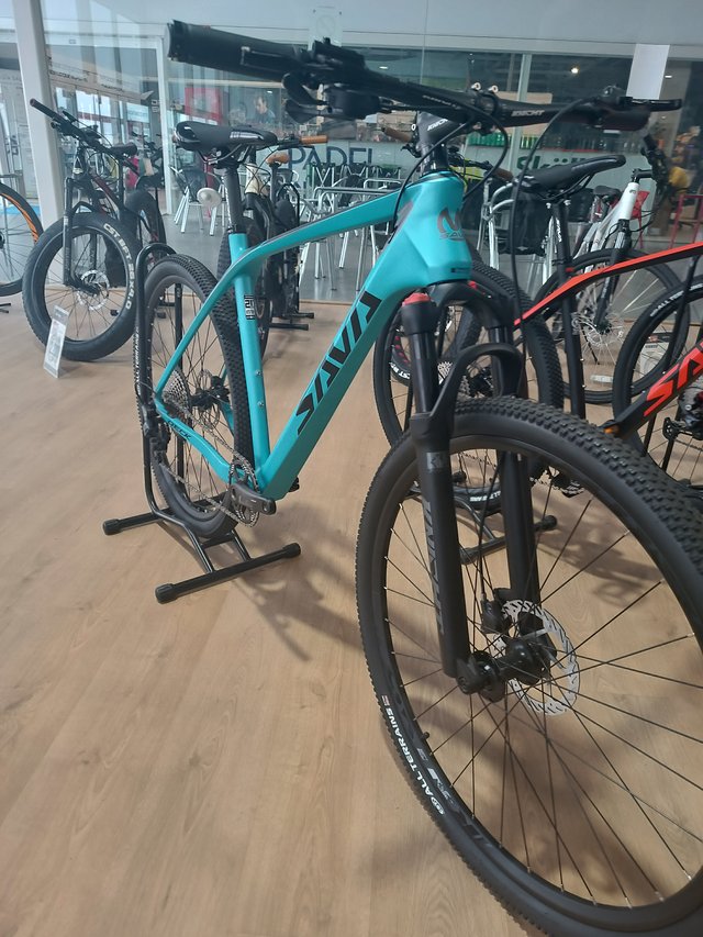 Bicicleta de carbono SAVA