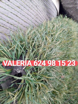 Venta césped artificial