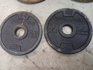 Dischi ghisa palestra Domyos 1 e 2 kg