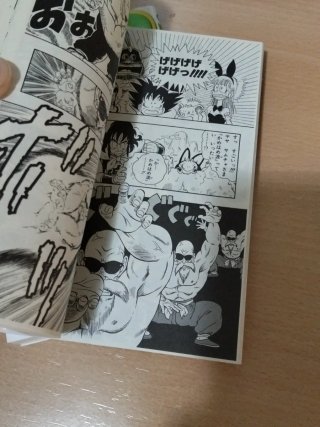 Manga dragón ball