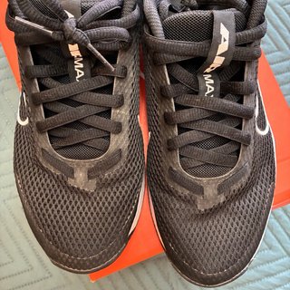Nike Air Max Alpha Trainer 6