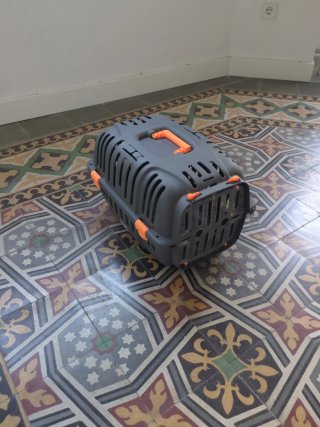 Transportín para gato gris y naranja