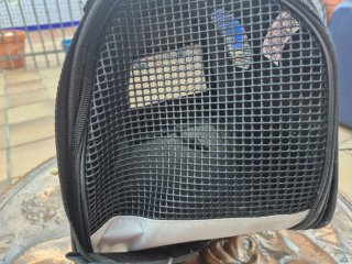 Varios antiguos y/o colecion