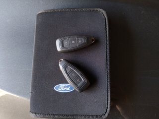 Ford Focus 1.5 Ecoblue Titanium 88 kW (120 CV)