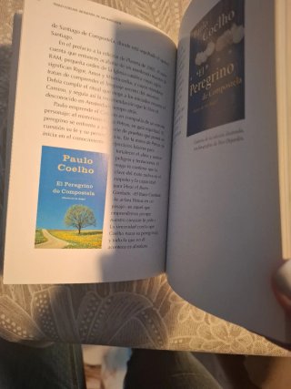 Paulo Coelho biografía de un narrador
