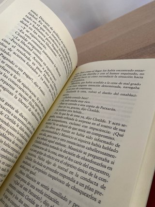 Mauricio o las elecciones primarias