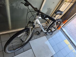 Bicicleta de montaña plateada