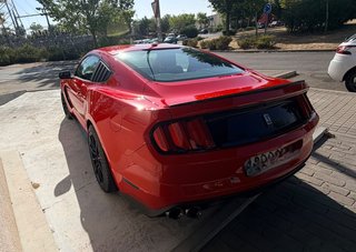 Ford Mustang Shelby GT350