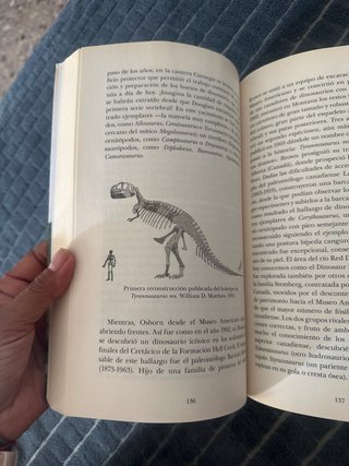 Eso no estaba en mi libro de historia de los di...