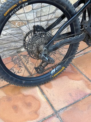 Pivot Shuttle AMPd