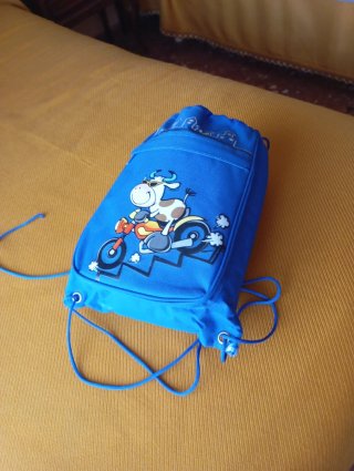 Saco de dormir gris Talla L + mochila para meterlo