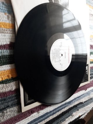 Vinilo Droogs - Stone Cold World