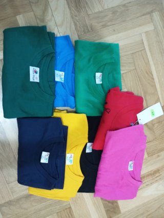 Camicie colorate per bambini e bambine PvP 2,50