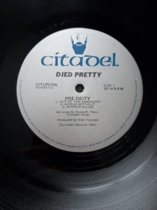 Vinilo Died Pretty