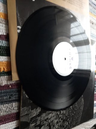 Vinilo Died Pretty