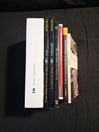 Lote 7 libros
