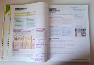 Proyecto: FanFest - Biología y Geología 3 ESO
