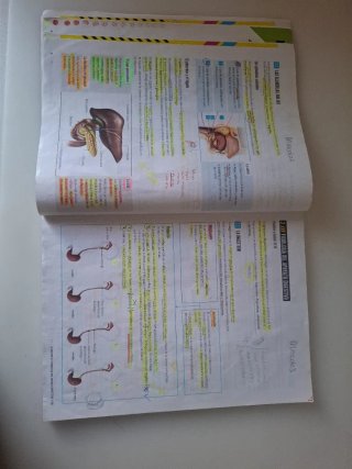 Proyecto: FanFest - Biología y Geología 3 ESO