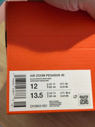 T46 Nike Pegasus 40 Negras