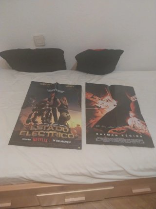 Pósters / poster Doble Cara