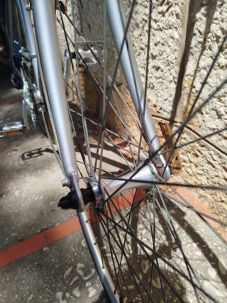 Bicicleta Orbea Gris