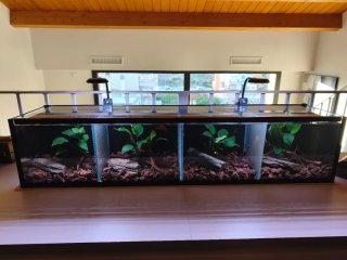 Acuario completo