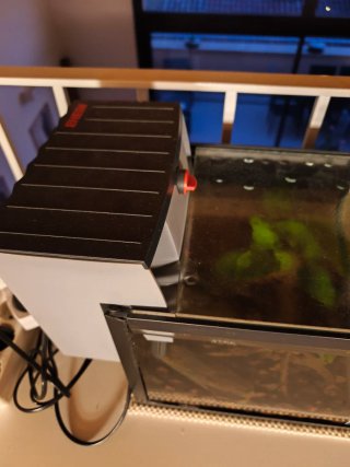 Acuario completo