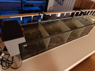 Acuario completo