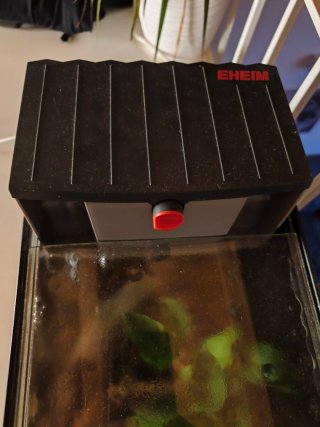 Acuario completo