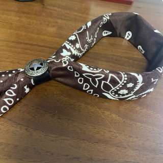 Bandana Bolo Tie Marrone Argento