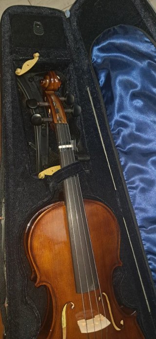 Viola 15.5 con funda