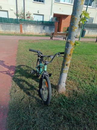 Bici BMX GT