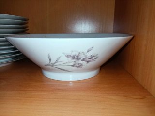 Elegante Vajilla Porcelana con Borde Oro Vintage