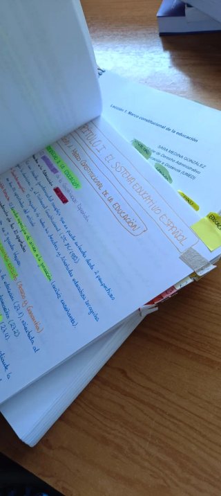 Apuntes Derecho de los Servicios Públicos Sociales