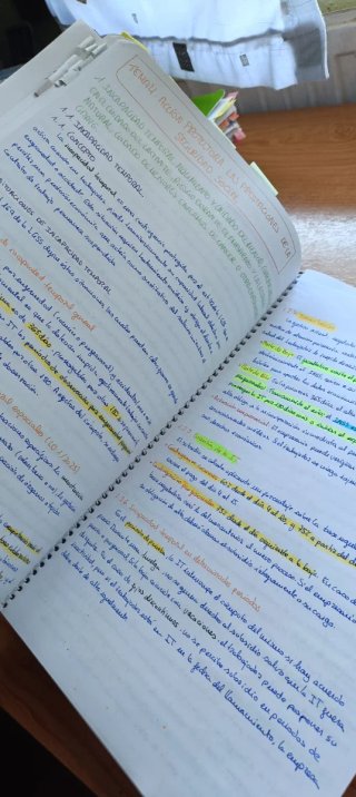 Apuntes Derecho de los Servicios Públicos Sociales