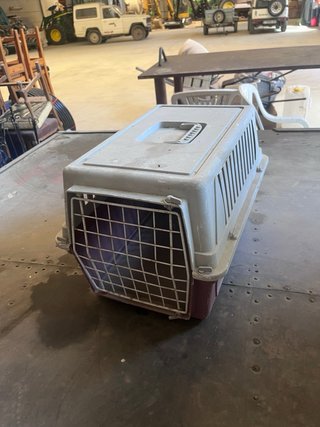 3 transportines para gatos o perros pequeños