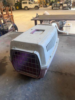 3 transportines para gatos o perros pequeños