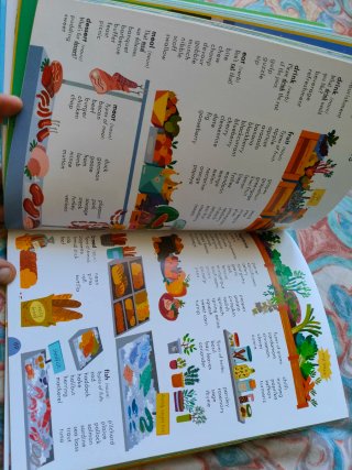 Libro - Junior Illustrated Thesaurus
