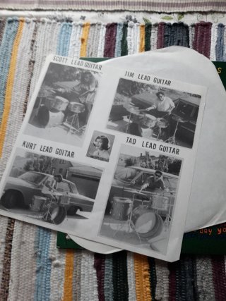 Vinilo Young Fresh Fellows - Indie