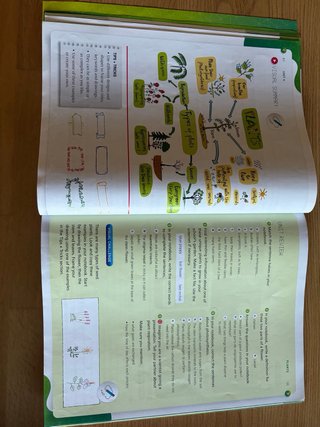 Natural Science, 3 Primary, Outside the Box, ByMe