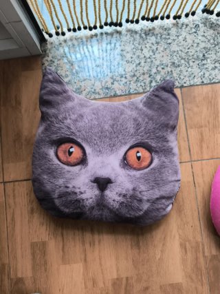 Cojín Cara Gato Gris Naranja
