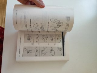 Lengua de signos española para Dummies