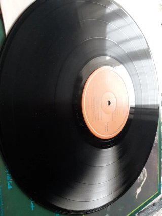 Vinilo the grease band