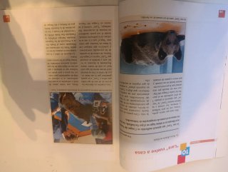 Lecturas, 5 Primaria tercer ciclo Tico-Tic