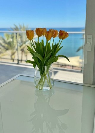 Piso en alquiler en Zona Puerto Deportivo en Fuengirola